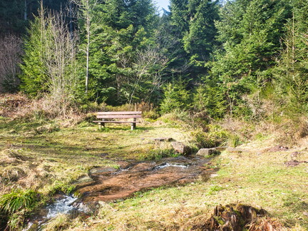 20220205202137-ad10743f